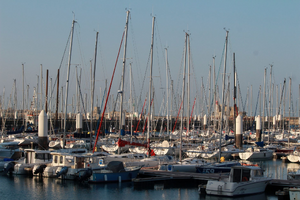 Tatoueur Le Havre